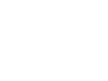 optimus system